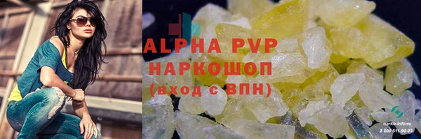 сатива Новодвинск
