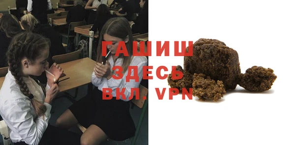 сатива Новодвинск