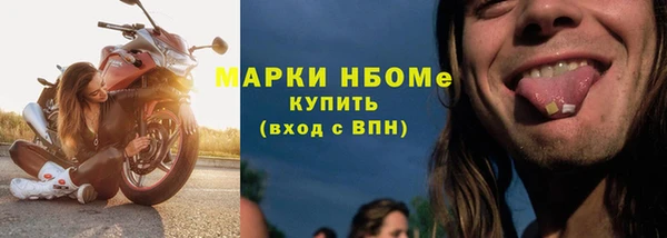 сатива Новодвинск