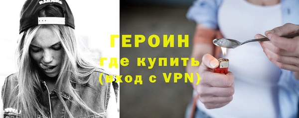 сатива Новодвинск