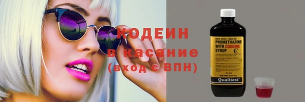 сатива Новодвинск