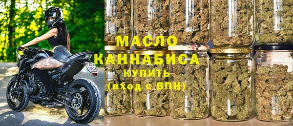сатива Новодвинск