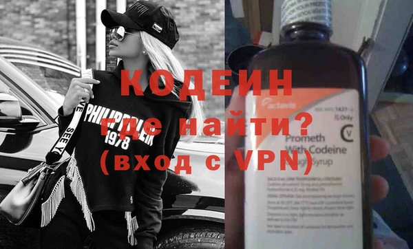 сатива Новодвинск