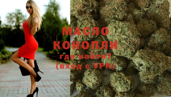 сатива Новодвинск