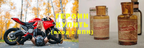 сатива Новодвинск